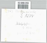 27721 W2863 Platjenwerbe - Fotoabzug Teilansicht Platjenwerbe