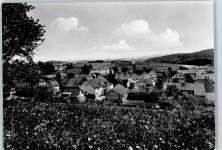 88099 W7995 Neukirch b Tettnang