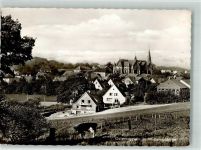 49179 W4514 Ostercappeln - Im Wiehengebirge Kuh