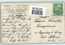 Namenstag Mädchen Karre mit Blumen AK Hundekarren 1908