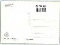 90100 Palermo Foto AK Carretto Siciliano Tracht