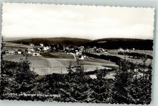 59955 W5788 Langewiese Foto AK Luftkurort Hochsauerland