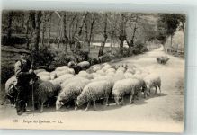 Schafe Pyrenäen ll Nr.236 Hirte