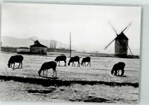 Toledo FOTO KEINE AK Windmühle La Mancha Pyrenäen