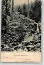 99897 O5809 Tambach-Dietharz , Thüringer Wald 1904 - Wasserfall im Röllchen Verlag Thilo Mosche
