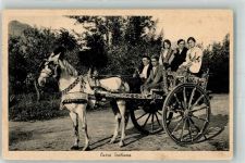 Pferd Sizillien Frauen Tiergespann