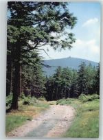 38667 W3396 Torfhaus , Harz - Brockenblick