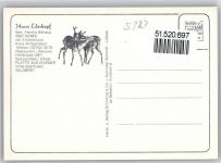 57339 W5927 Benfe - Schwimmbad Pension Haus Ederkopf