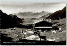 6344 Walchsee - Lackneralpe