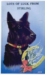 Stirling - Stirling (Großbritannien) Leporello, Hund II (minimaler Einriss)