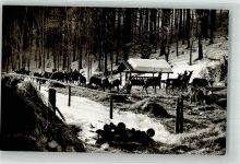 37412 W3429 Sieber Winter Wildfütterung am Forsthaus Königshof