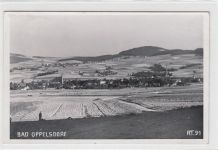 Panorama von Bad Oppelsdorf / Opolno Zdrój - Kreis Görlitz / Zgorzelec gelaufen. Gute Erhaltung.