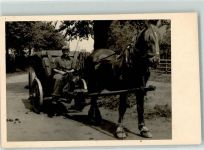 Bauernwagen Tiergespann Privatfoto KEINE AK