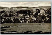 02681 O8605 Schirgiswalde - Rinderweide