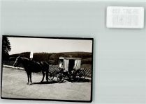 59846 W5768 Wildewiese , Sorpetal FOTO KEINE AK Ort handschriftlich Kutsche
