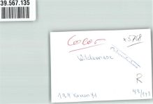 59846 W5768 Wildewiese , Sorpetal FOTO KEINE AK Ort handschriftlich Kutsche