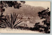 Monte Carlo