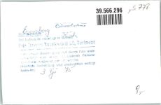59872 W5778 Eversberg , Kr Meschede FOTO KEINE AK Kirche Inneres Ort handschriftlich