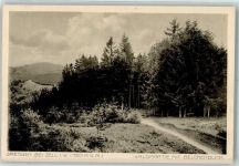 79669 W7863 Gresgen Foto AK Belchenblick