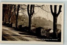 88633 W7799 Heiligenberg , Baden 1928 Foto AK Schloss