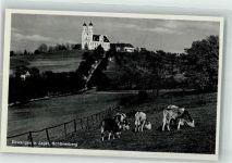73479 W7090 Ellwangen Jagst Foto AK Wallfahrtskirche Schönenberg