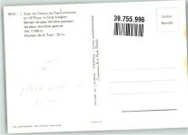 67130 Bellefosse - Marktszene Aussichtsturm