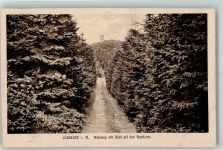 32312 W4990 Lübbecke , Westf - Waldweg Wartturm Aussichtsturm