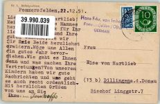 Büffelgeschirre Tiergespann