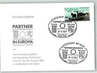 65795 W6234 Hattersheim am Main 1987 Sonderstempel Verschwisterungsfeier mit Sarcelles Frankreich