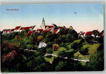 72348 W7463 Rosenfeld , Württ 1924 Foto AK