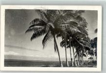 Jakarta Batavia 1953 Foto AK Ort handschriftlich