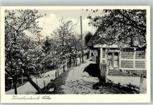 21635 W2155 Lühe , Kr Stade 1954 Foto AK