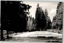 38709 W3391 Wildemann FOTO KEINE AK Kurpark Foto Original aus Archiv eines Ansichtskartenverlages