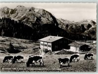 Gotzenalm Foto AK Gotzenalm