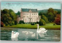 99894 O5804 Reinhardsbrunn 1912 Foto AK Schloss Schwäne