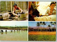 Jakarta Batavia 1987 Foto AK Tracht Keramik Reisfelder