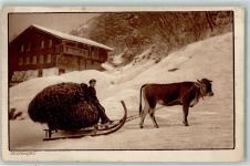 Heimfahrt Holz auf dem Schlitten AK Tiergespann 1922