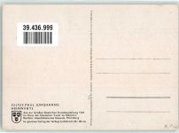sign.Junghanns Julius Paul Ziegen Rind Heimwärts Verlag Hirmer Nr.42028A Hirte Künstlerkarte