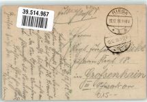 01587 O8400 Riesa 1918 - Rathaus am Albertplatz