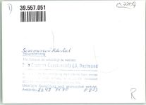 79263 W7809 Simonswald FOTO KEINE AK Simonswäldertal