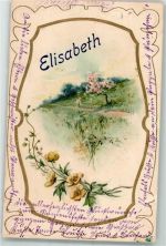 Elisabeth Blumen LAndschaft Name auf AK 1906 Prägedruck