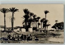 Gizeh Giza Foto AK Palmen Oase