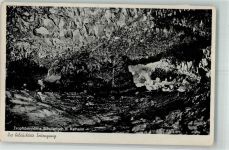 W8421 Essing Schulerloch bei Kelheim Seiteneingang Tropfsteinhöhle