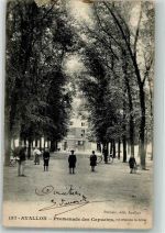 89200 Avallon 1907 - Promenade des Capucins