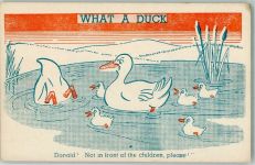 What a Duck ! Not in front of the children please! Comic