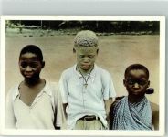 Kinder Kamerun Durch Urwald und Steppe von Lutz Heck Bild Nr.52 Schwarzafrikaner Foto AK