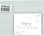 83329 W8221 Waging a. See FOTO KEINE AK Badestrand am Waginger See Foto Original aus Archiv eines Ansichtskartenverlags Ort handschriftlich