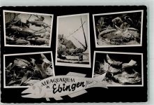 72458 W7470 Ebingen , Württ 1959 Foto AK Ausstellung Albaquarium