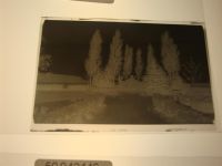 38518 W3170 Wilsche KEINE AK Negativ