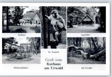 26340 W2932 Zetel - Kurhaus Am Urwald Jagdhütte Kinderspielplatz Tierpark Affe Im Urwald